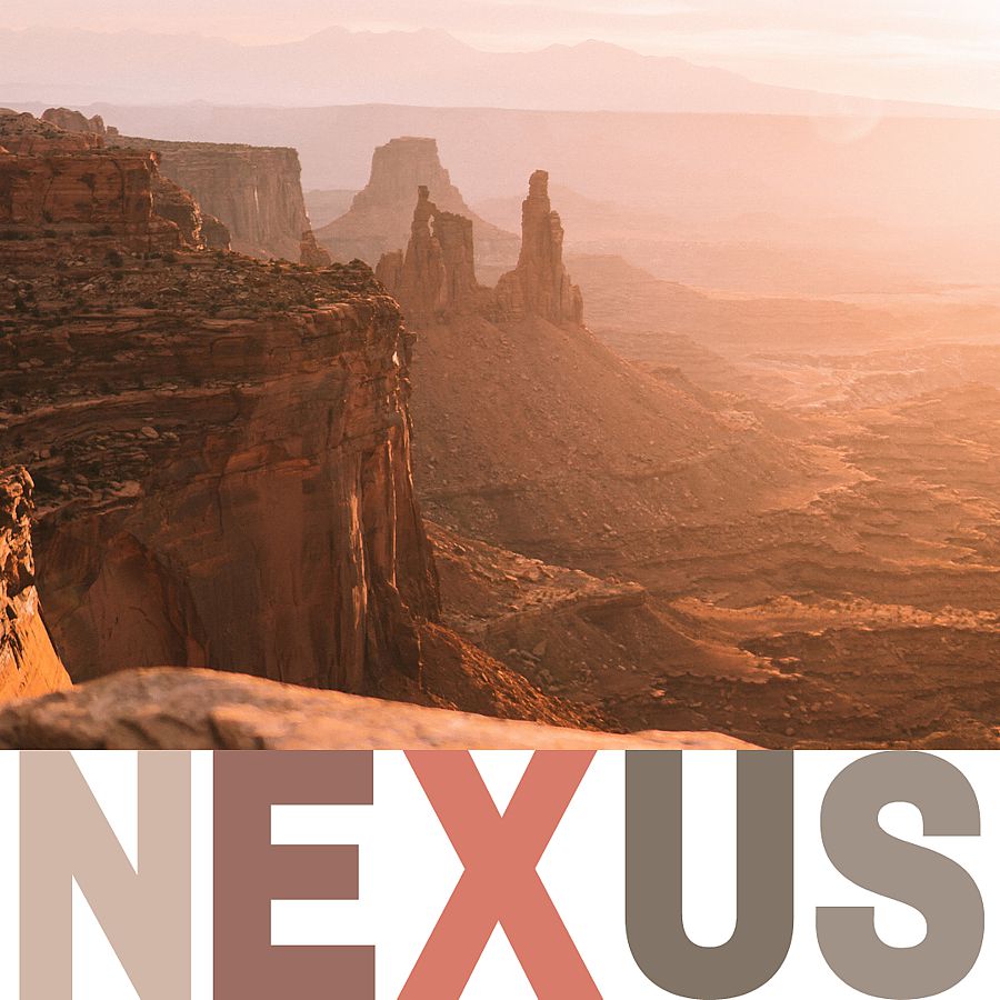 The theme of Sherwin-Williams Nexus color palette is our communal well-being.